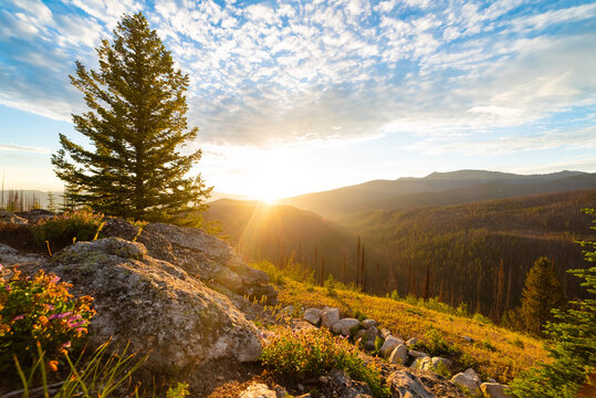 Early Morning Summer Sunrise