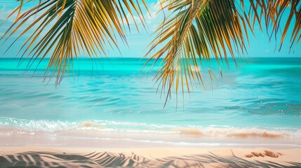 Fototapeta na wymiar Sea beach with palm tree summer island tropic wallpaper background