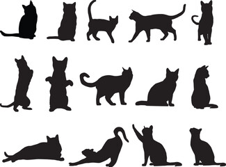 set of cats silhouettes full body in various pose