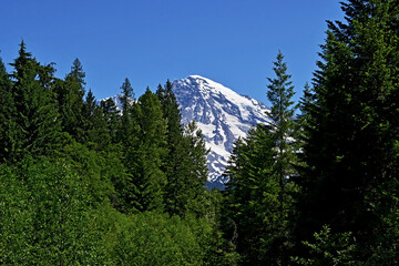 Mt Rainier seen through a foothills forest on a beautiful summer day, Mount Rainier National Park, Washington_20230630_DSC_8076.