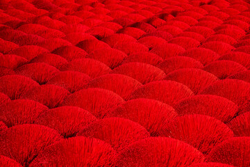 Colourful bundles of incense at an incense factory in Hanoi, Vietnam