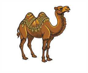 camel in sahara cartoon mascot illustration