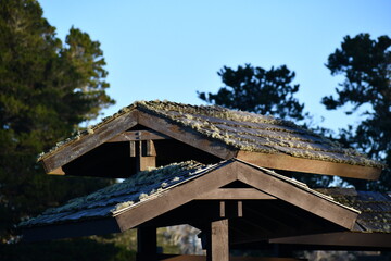 Fototapeta na wymiar Small roofs on informational booth at state park. Moss covered.