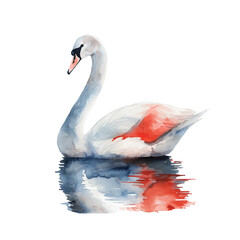 schwan vogel vector ilustration in watercolour style - obrazy, fototapety, plakaty