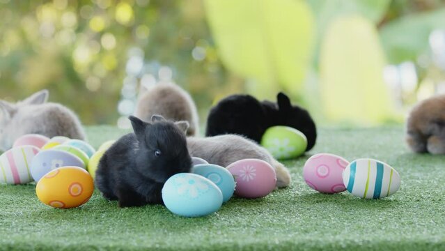 Group of baby bunnies on artificial green grass near easter eggs. Symbol of Easter day.