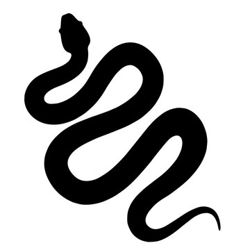 recommend clip art: black and white snake