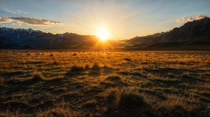 Fototapeta premium Sunset Glow Over Golden Mountain Meadow 
