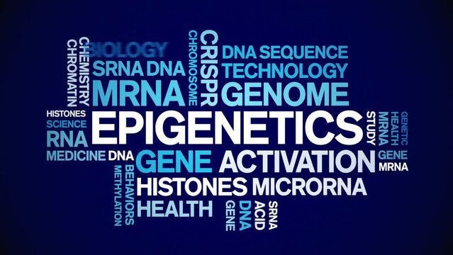 Epigenetics animated word cloud;text design animation tag kinetic typography seamless loop.