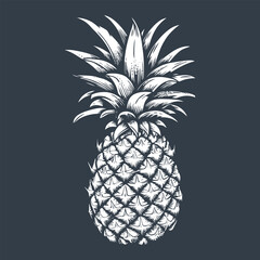 Pineapple fruit woodcut drawing vector.