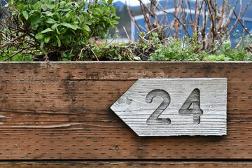 Number 24 on wooden planter box. Fairly neglected plants poking out of top.