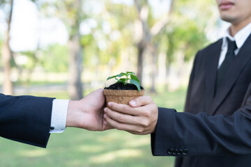 Business people holding plant as concept of eco company committed to corporate social responsible,...