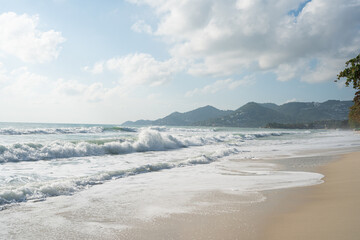 Fototapeta na wymiar Morning sunrise on white sand sea beach wave tropical forest