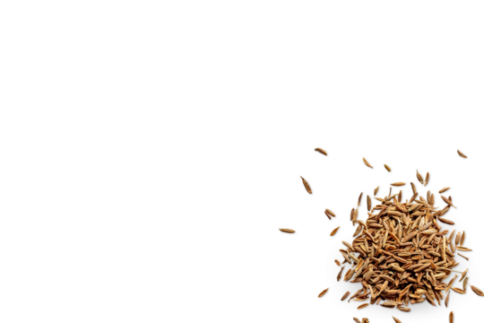 close-up of a pile of organic dry cumin seeds isolated on a transparent background with shadows from above, top view, png