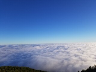 Obraz premium 富士山５合目の雲海