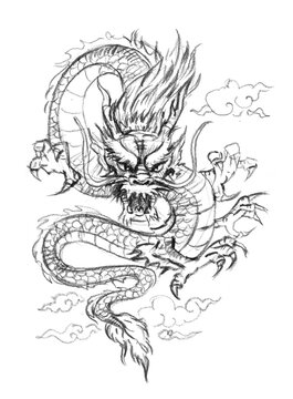 sketch of dragon pencil drawing for card decoration illustration