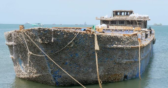 close up of shells covered long ship anchored in shallow water. The boat  is adorned  with a variety of seashells, including clams, conchs, and  wentletraps.  