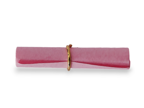 A pink rolled-up letter fixed by a golden circular ring isolated on transparent background. 