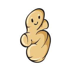 Ginger cartoon. Ginger cartoon character design. Ginger on white background. for poster, banner, web, icon, mascot, background. Hand drawn. Vector illustration