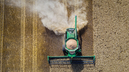 Cosecha de trigo en campo argentino