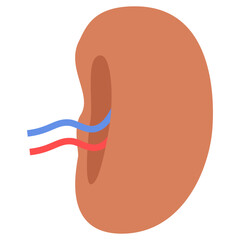 Human Organ Illustration
