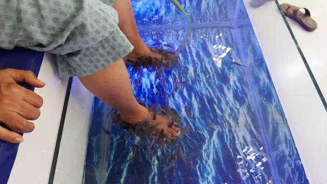 women receiving a fish pedicure therapy with small fish nibbling at their feet in a blue water in fish spa