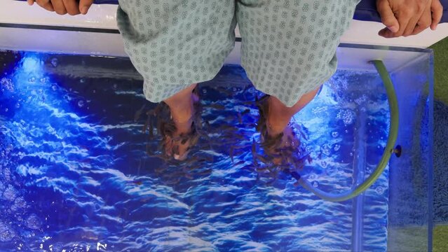 women receiving a fish pedicure therapy with small fish nibbling at their feet in a blue water in fish spa