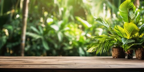 Tropical plants, palms, and jungle as backdrop for wooden table.