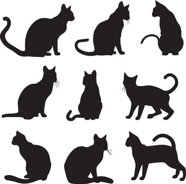 Set of Cats Black Silhouette on white background 