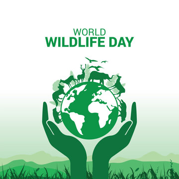 World Wildlife Day is about forest animals, and World Wildlife Day is about forest animals and the life cycle of forest animals. World Wildlife by Animals on Earth, Wildlife Concepts