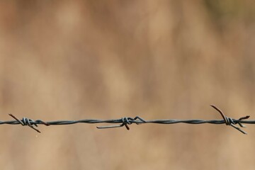 Galvanised steel barbed wire stretches across a rural landscape concept of freedom