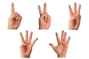 hand showing sign, one, two or peace, three, four and five, sign language isolated on transparent...