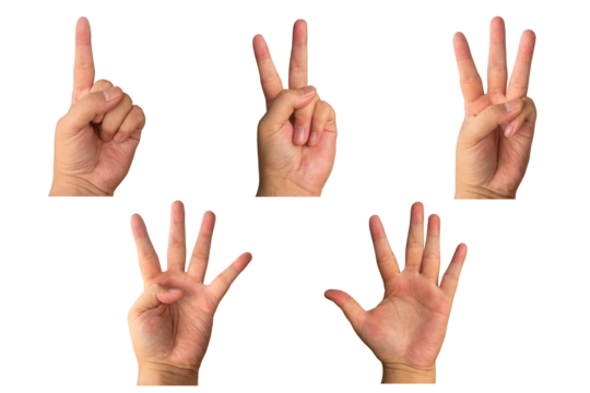 hand showing sign, one, two or peace, three, four and five, sign language isolated on transparent background, PNG