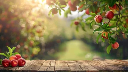 Fotobehang Empty rustic old wooden board table copy space with peach trees or an orchard in the background. Some ripe fruits are on the desk. Product display template. © ND STOCK