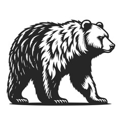 silhouette of a walking bear isolated on white background 