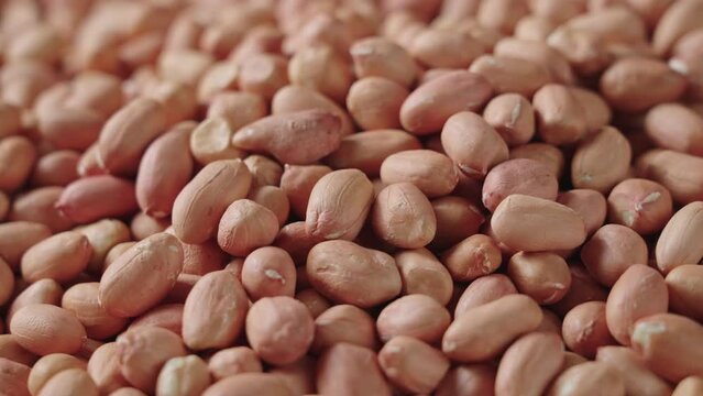 peeled raw peanut kernel on table.
