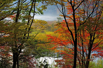 Fototapeta premium 福島県南会津郡下郷町 観音沼森林公園の秋