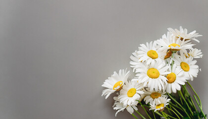 Chamomile daisy flowers bouquet on gray background top view with copy space. Minimalist floral card. Fine art aesthetic poster.