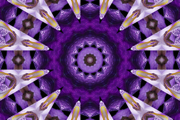  iris flower kaleidoscope, mauve iris, abstract composition of geometric figures forming a...