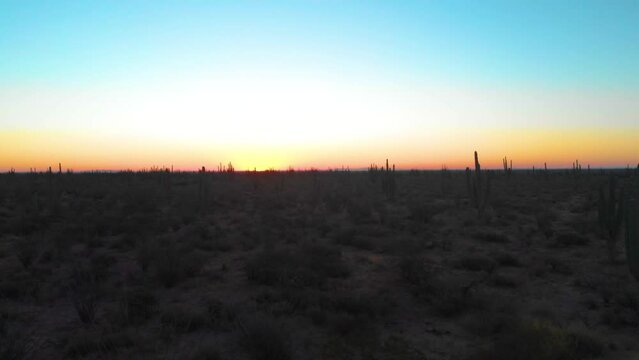 Amanecer en el Desierto de Sonora, M&eacute;xico.