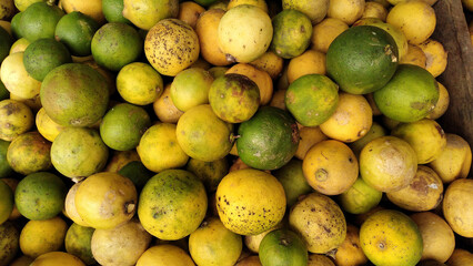 lime background