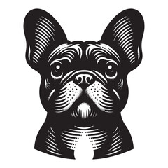 French Bulldog.  Beautiful vintage engraving illustration, emblem, icon, logo, sketch. Black lines, cut out, png