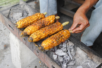 Ripe yellow corn being grilled on the grille with flaming charcoal, ready to serve.