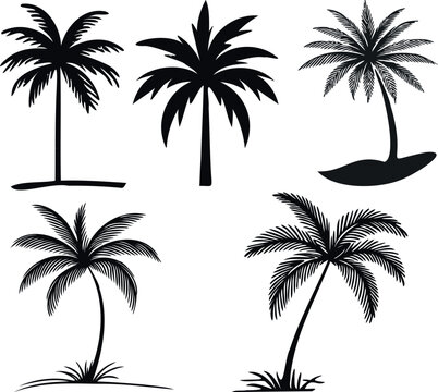 Palm tree silhouette, tropical nature illustration. Elegant black outlines depict exotic, serene beauty. Ideal for designs, backgrounds