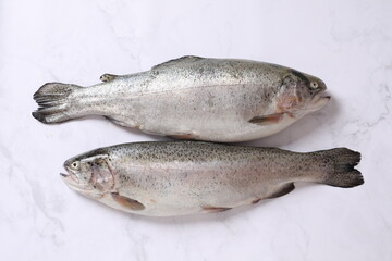 fresh fish on a table