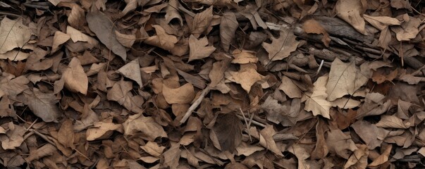 Dry leaves and twigs are scattered around on the ground, large scale, top view, detailed texture.
