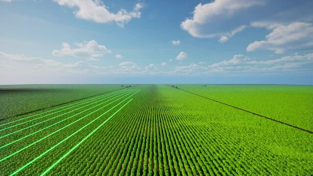 Agriculture drones scan the area to determine the route for spray fertilizer on agricultural plot, Smart farming concept