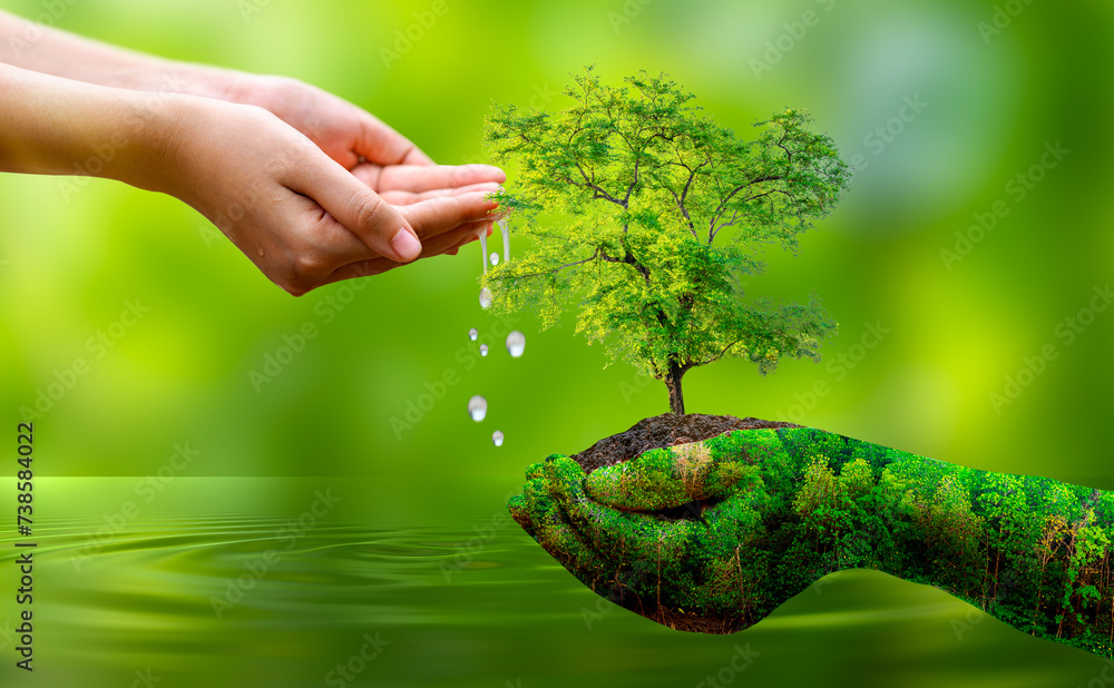 Wall mural concept save the world save environment the world is in the grass of the green bokeh background