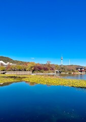 Fototapeta na wymiar 대구광역시 성당못 (Daegu pond)