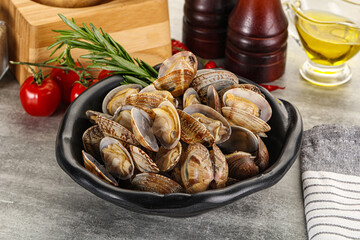 Raw vongole clams for cooking