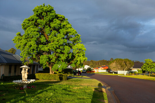 Sunlit suburban street scene fresh after rain with storm clouds in sky